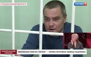 'Прямой эфир' 07.04.2021: 'Виновным себя не считаю'. Первое интервью Владимира Санкина