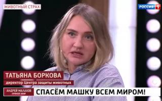 'Прямой эфир' 23.04.2021: Нужно ли спасать медведицу Машу?
